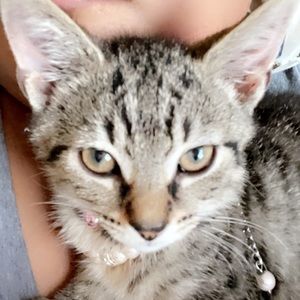 Meet your Posher, Bianca